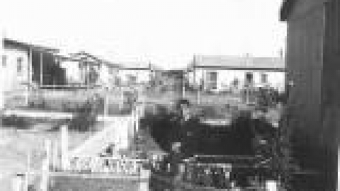 מעברה, דניאל רווימי ביום בר המצווה. באדיבות משפחת רווימי_jpg.jpg