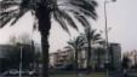 גנים וכיכרות - שד  ויצמן_jpg.jpg