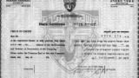 פדנס, תעודת מניה מס 16 בחברת משמר המפרץ, 1943באדיבות פדנס_jpg.jpg