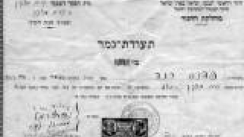 בית ספר אחדות, תעודת גמר לימודים באדיבות פדנס_jpg.jpg