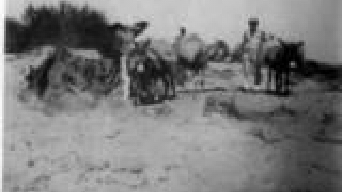 יישור החולות באמצעות משאית החמור_jpg.jpg