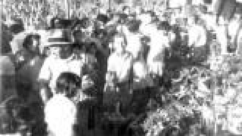 בית ספר אחדות שונות, משתלת עצי האקליפטוס בביהס_JPG.JPG