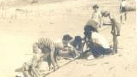 בית ספר ויצמן התחלה, תלמידים ומורים מניחים קווי מים בחצר_jpg.jpg